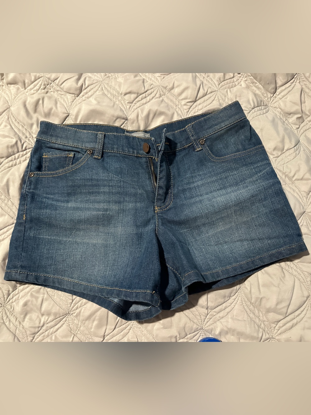 New York & Company Denim Shorts